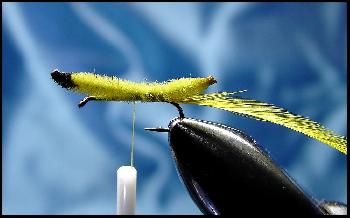 Montage de mouche