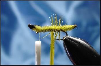 Montage de mouche