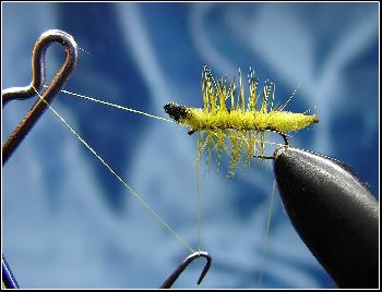 Montage de mouche