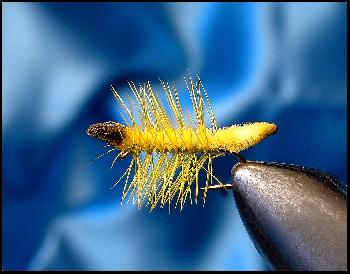 Fiche de montage : Chenille