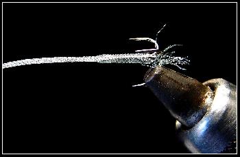 Montage de mouche