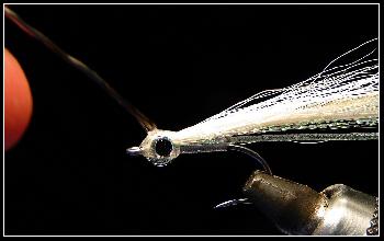 Montage de mouche