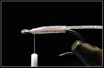 Montage de mouche