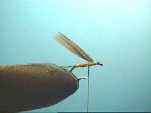 Montage de mouche