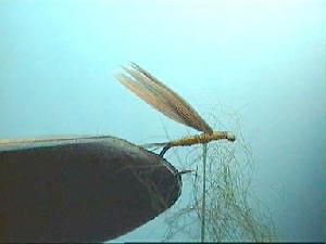 Montage de mouche