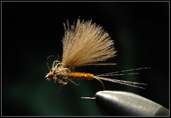 Fiche de montage : Brune de mars