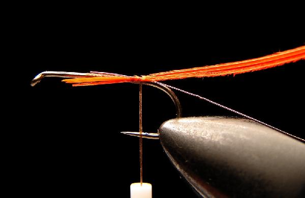 Montage de mouche