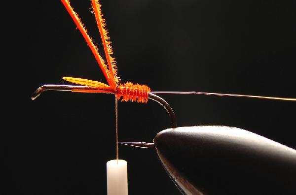 Montage de mouche