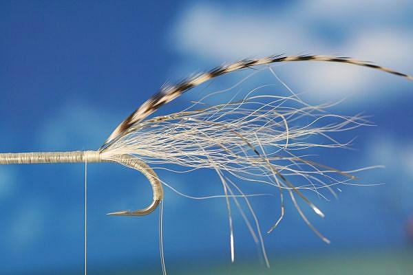 Montage de mouche