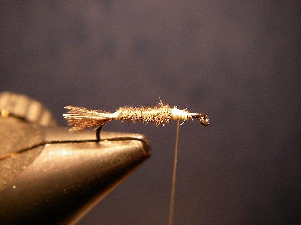 Montage de mouche