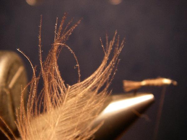 Montage de mouche