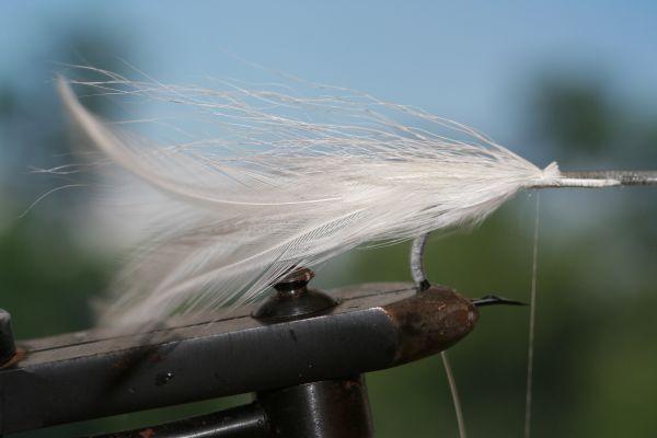 Montage de mouche