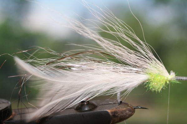 Montage de mouche