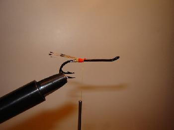 Montage de mouche