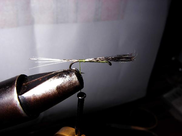Montage de mouche