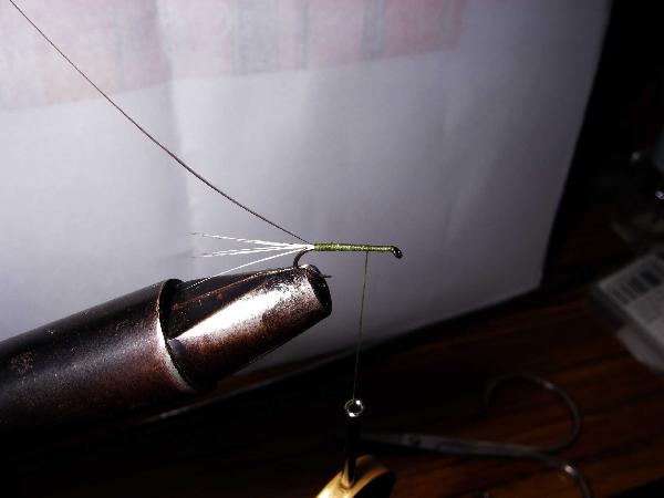Montage de mouche