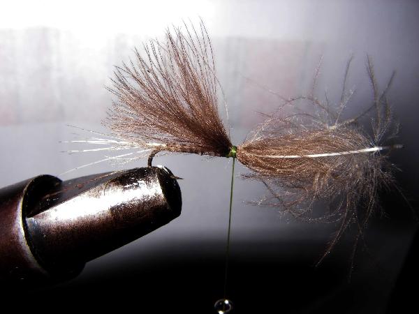 Montage de mouche