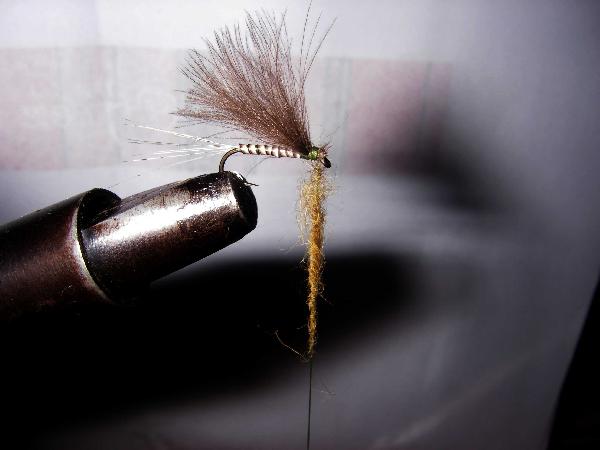 Montage de mouche