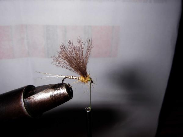 Montage de mouche