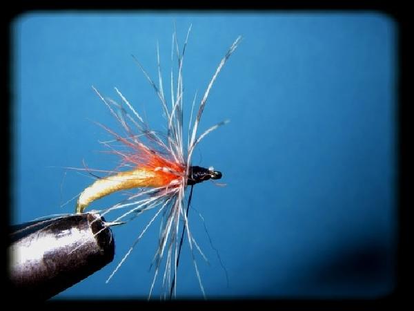 Montage de mouche