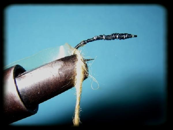 Montage de mouche