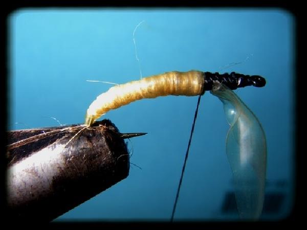 Montage de mouche