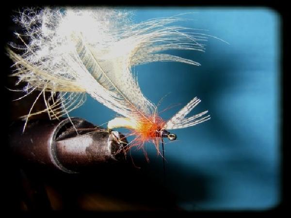 Montage de mouche