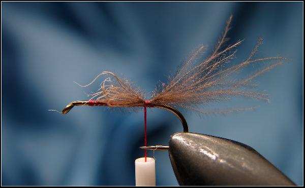 Montage de mouche