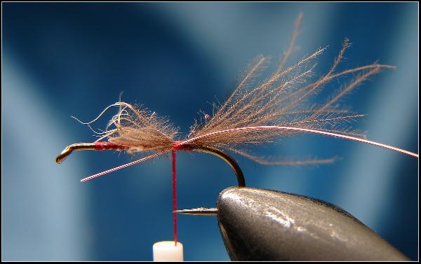 Montage de mouche