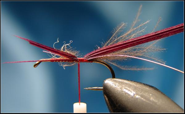 Montage de mouche