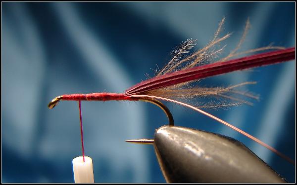 Montage de mouche