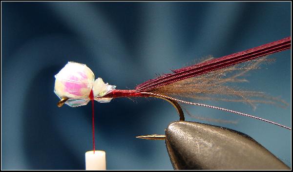 Montage de mouche