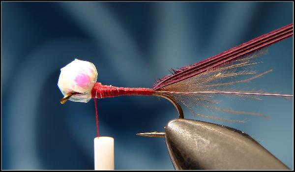 Montage de mouche