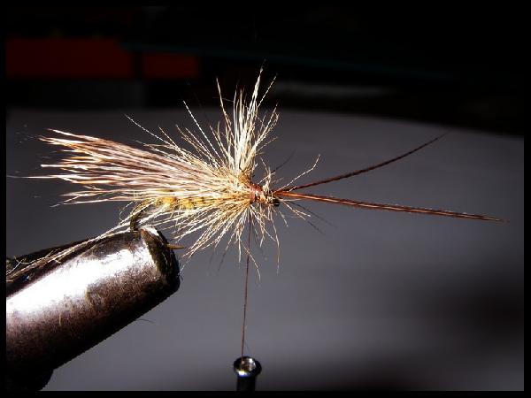 Montage de mouche