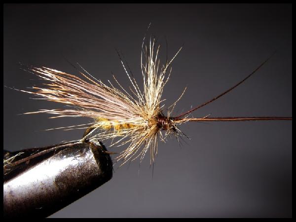 Fiche de montage : Sedge coup du soir