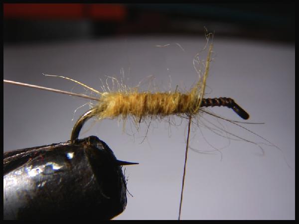 Montage de mouche