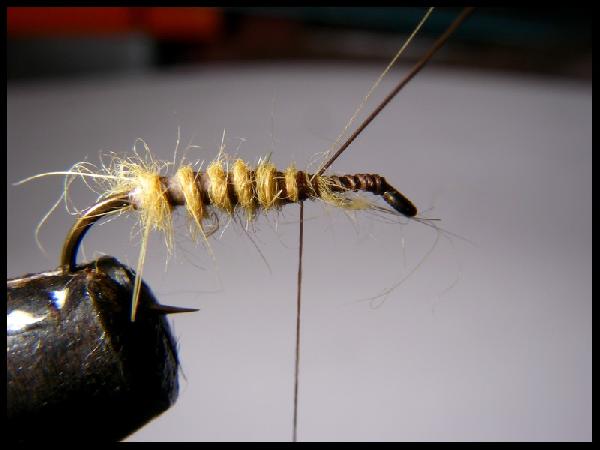 Montage de mouche