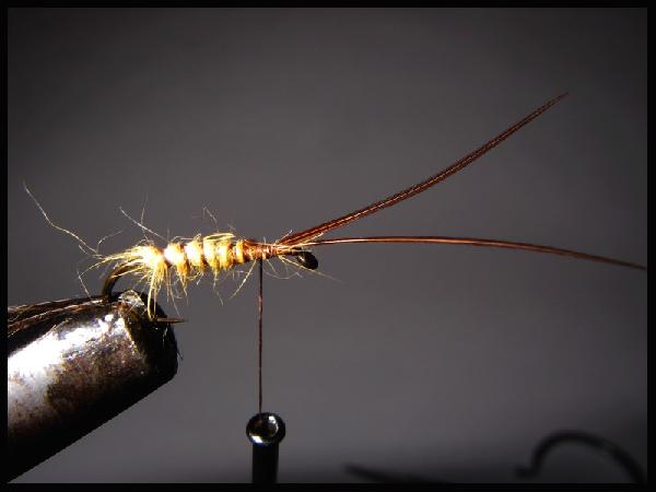 Montage de mouche