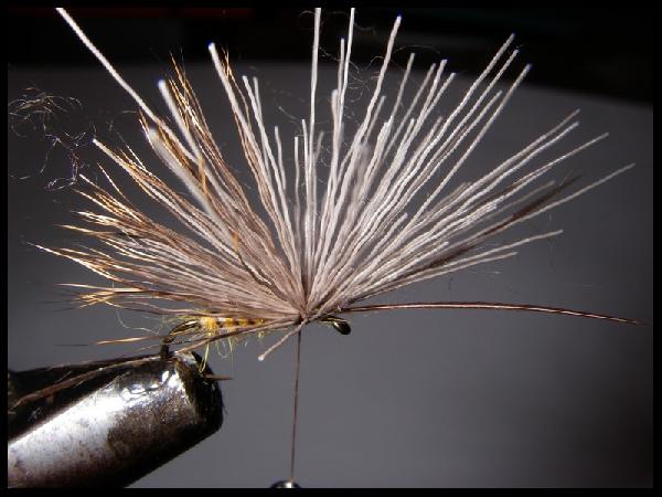 Montage de mouche