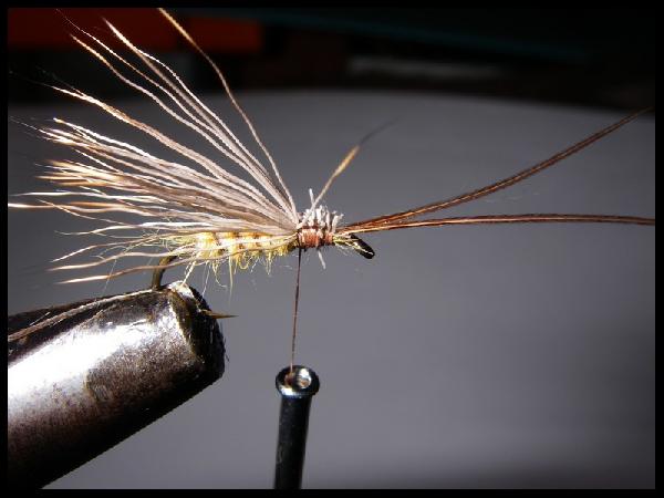 Montage de mouche