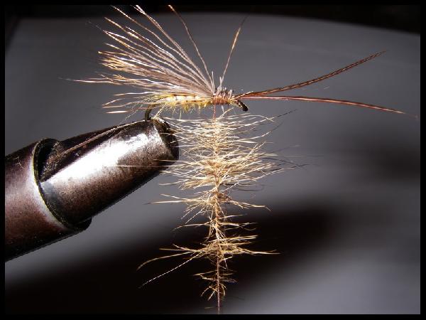 Montage de mouche