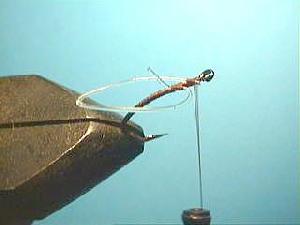 Montage de mouche