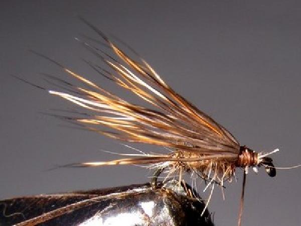 Montage de mouche