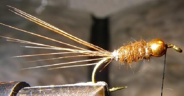 Montage de mouche