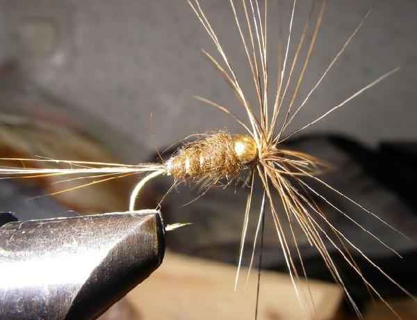 Montage de mouche
