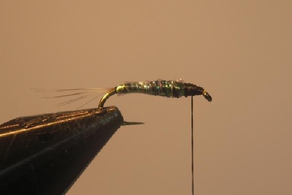 Montage de mouche