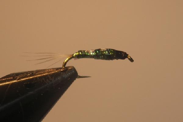 Montage de mouche