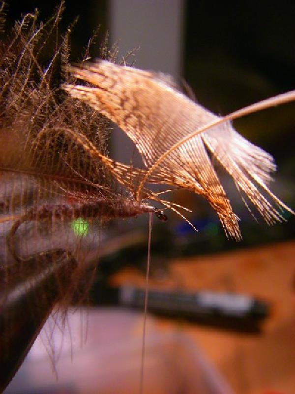 Montage de mouche