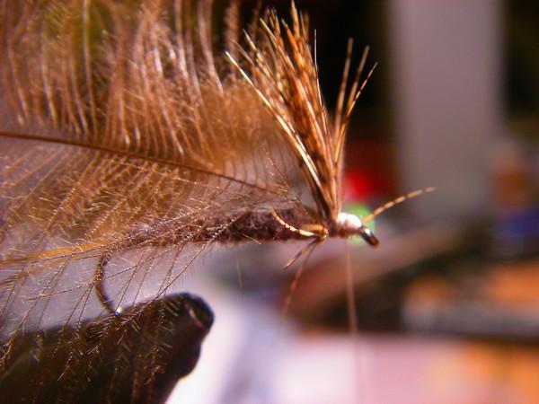 Montage de mouche