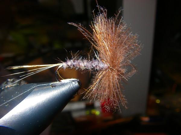 Montage de mouche